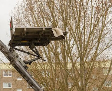 Möbellift in Sinsheim Möbellift in Sinsheim: Möbellift zwischen kahlen Bäumen vor einem Gebäude